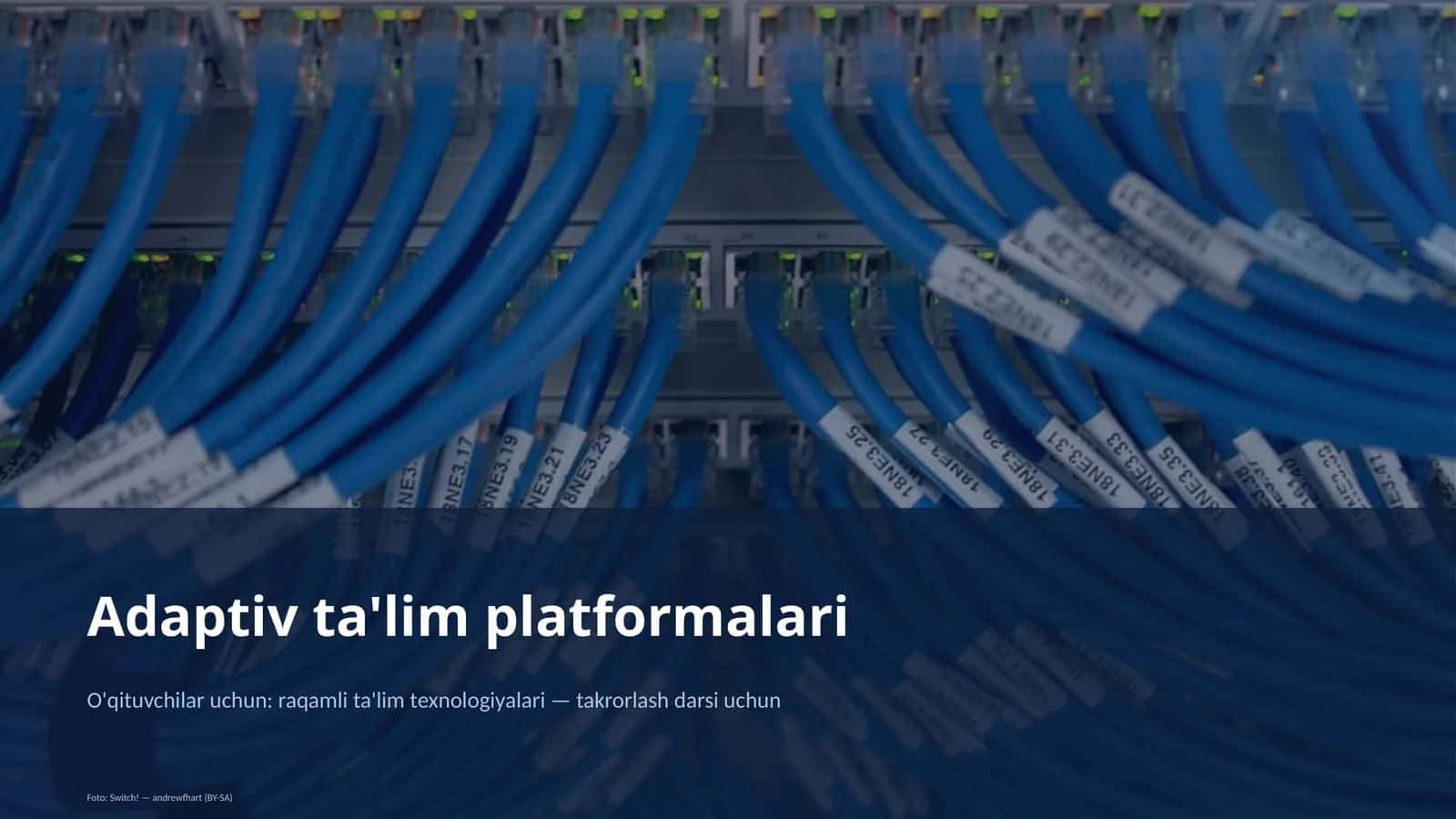 Adaptiv ta'lim platformalari