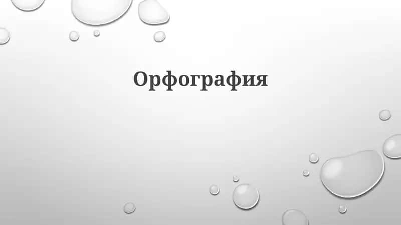 Орфография