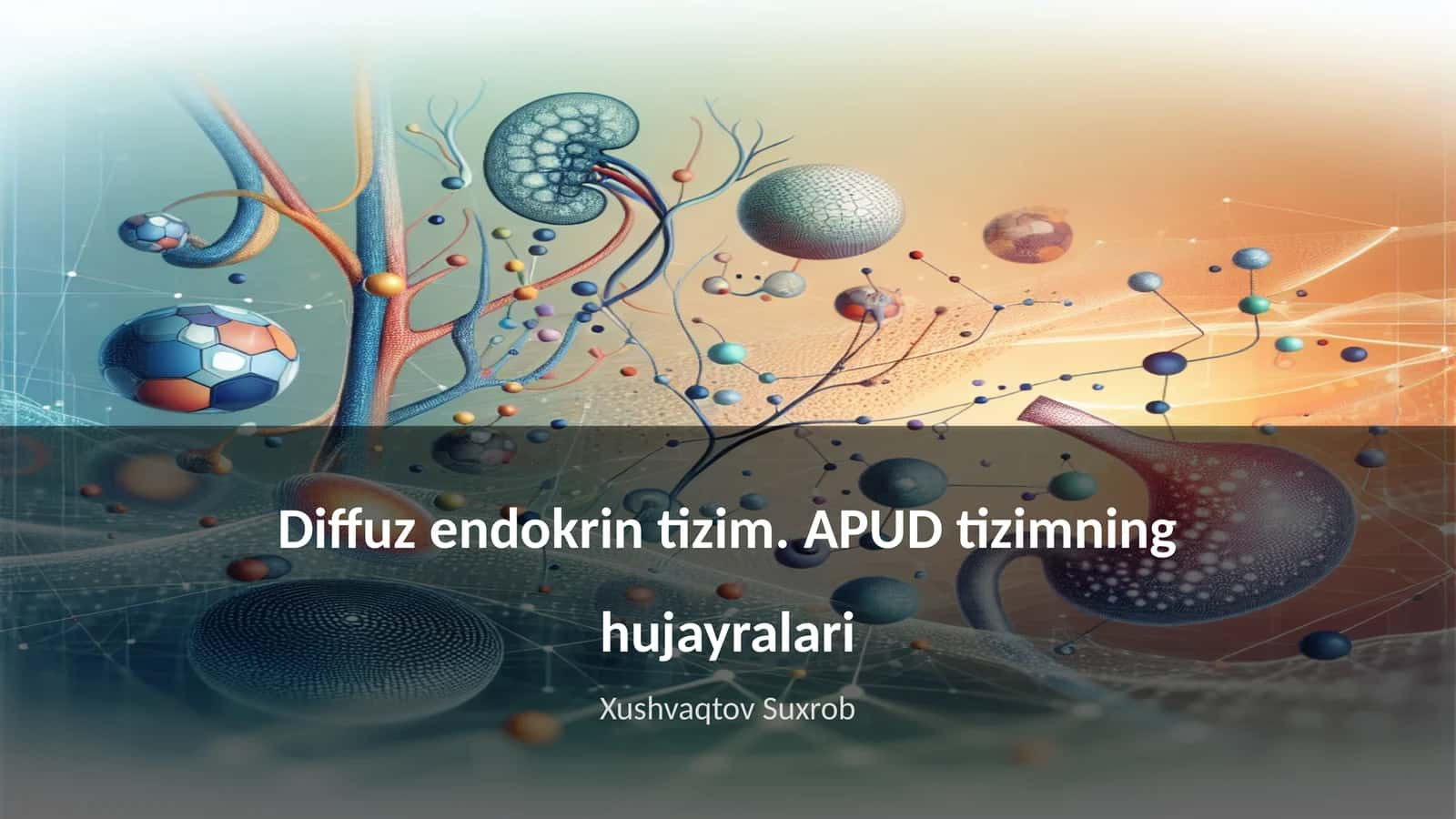 Diffuz endokrin tizim. APUD tizimning hujayralari