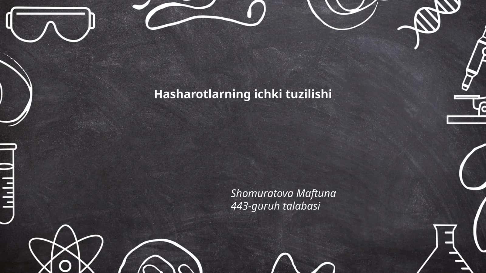 Hasharotlarning ichki tuzilishi