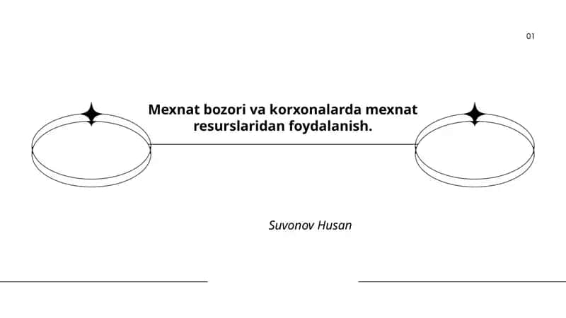 Mehnat bozori va korxonalarda mexnat resurslaridan foydalanish
