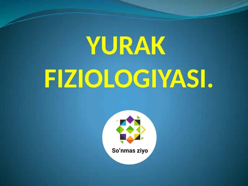 YURAK FIZIOLOGIYASI