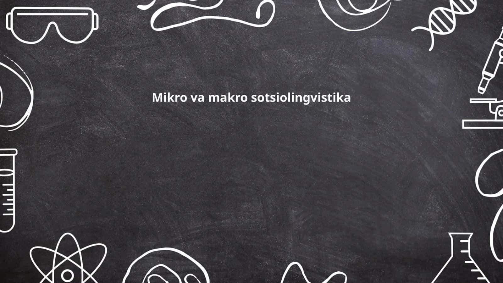 Mikro va makro sotsiolingvistika