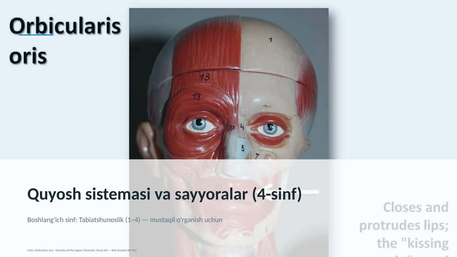Quyosh sistemasi va sayyoralar (4-sinf)