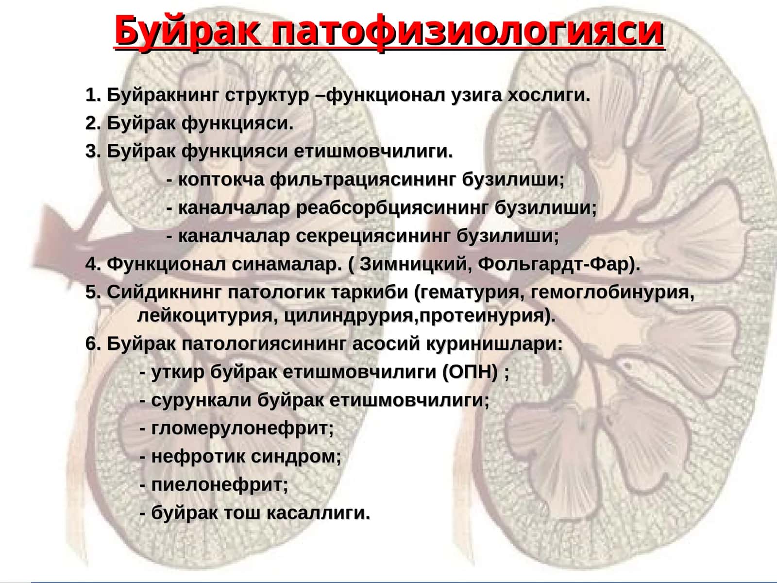 Буйрак патофизиологияси