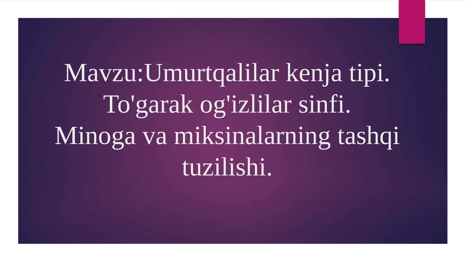 Umurtqalilar kenja tipi