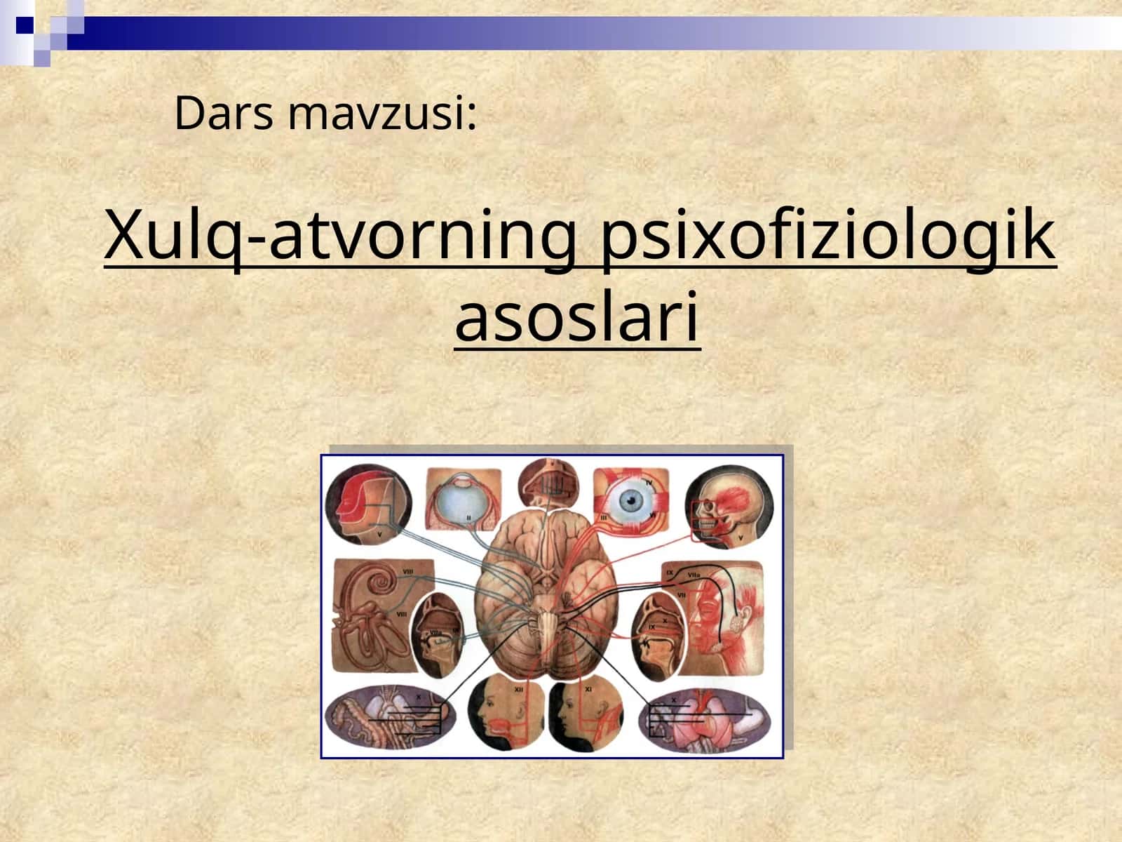 Xulq-atvorning psixofiziologik asoslari
