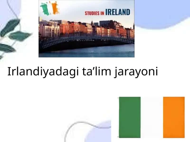 Irlandiyadagi ta’lim jarayoni