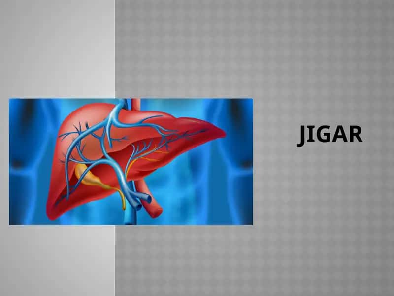 Jigar