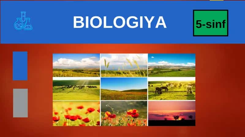 BIOLOGIYA 5-sinf MUSTAHKAMLASH