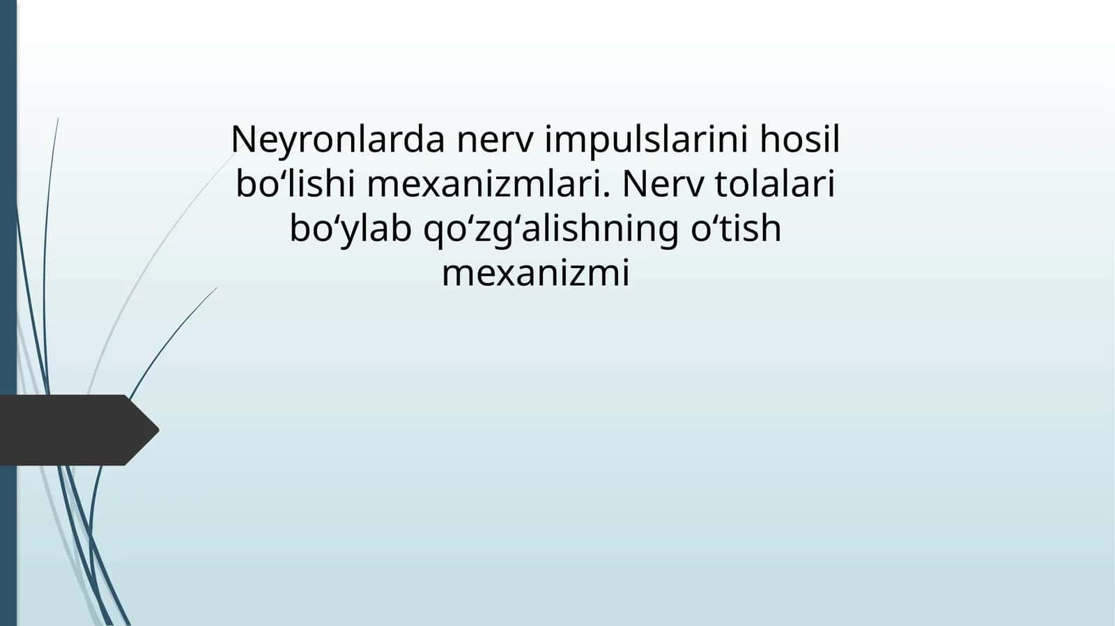 Neyronlarda_nerv_impulslarini_hosil_boʻlishi_mexanizmlari_Nerv_tolalari