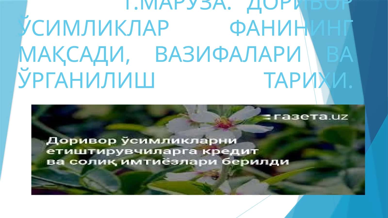МАРУЗА. ДОРИВОР ЎСИМЛИКЛАР ФАНИНИНГ МАҚСАДИ, ВАЗИФАЛАРИ ВА ЎРГАНИЛИШ ТАРИХИ