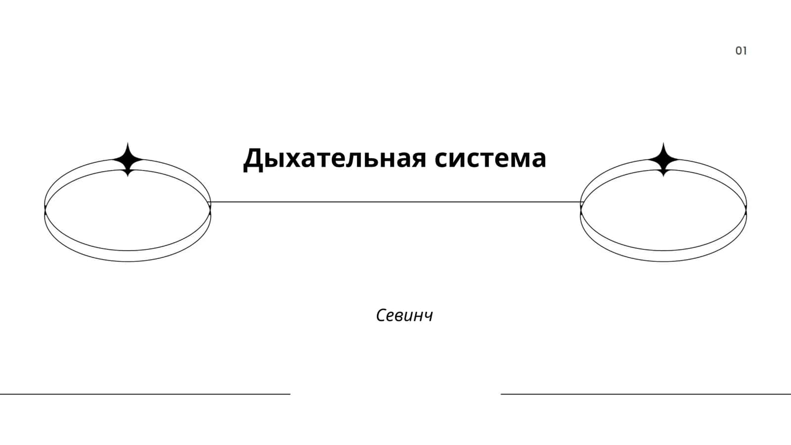 Дыхательная система