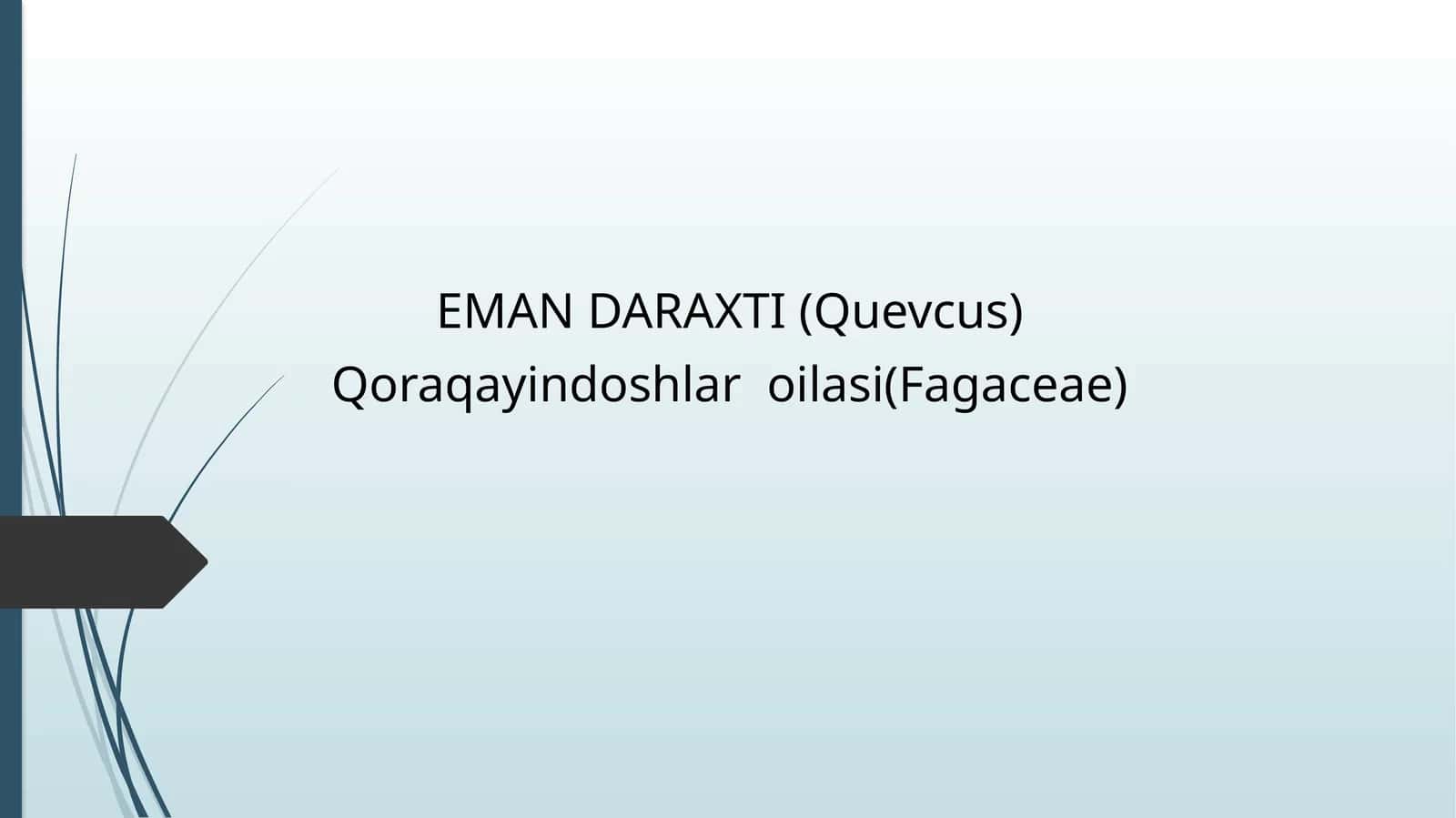 EMAN DARAXTI(Quevcus)