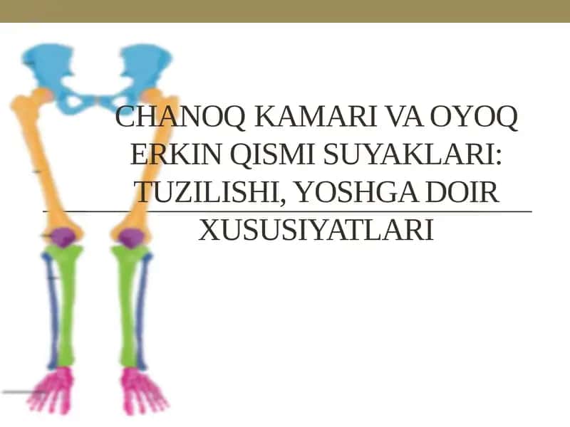 Chanoq KAMARI VA OYOQ ERKIN QISMI SUYAKLARI: TUZILISHI, YOSHGA DOIR XUSUSIYATLARI