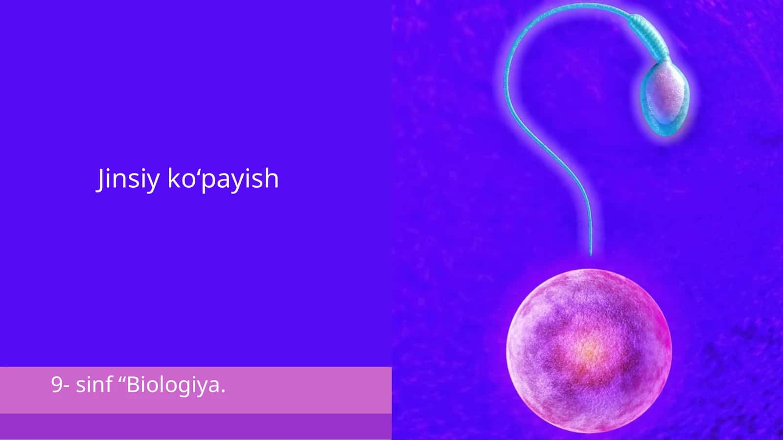 Jinsiy ko‘payish