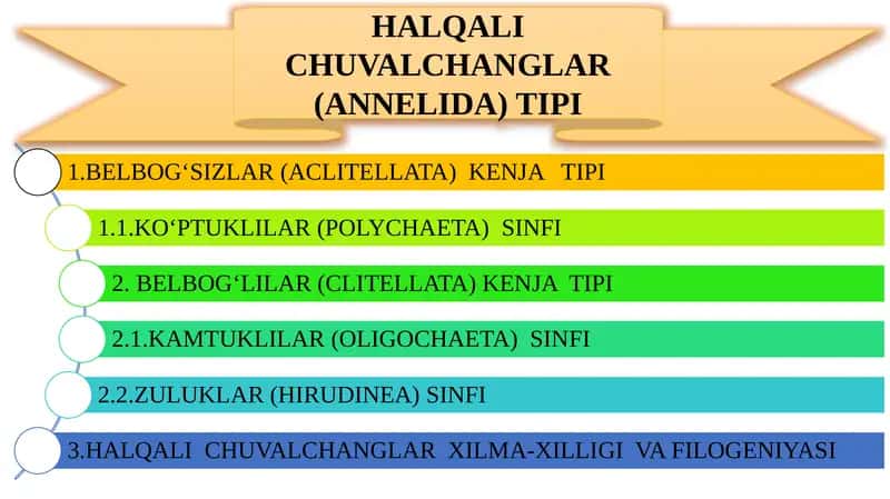 HALQALI CHUVALCHANGLAR (ANNELIDA)TIPI
