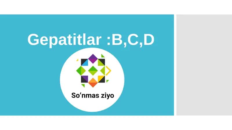 Gepatit B C D