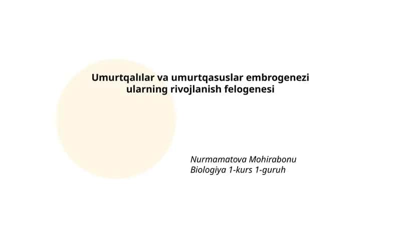 Umurtqalılar va umurtqasuslar embrogenezi ularning rivojlanish felogenesi