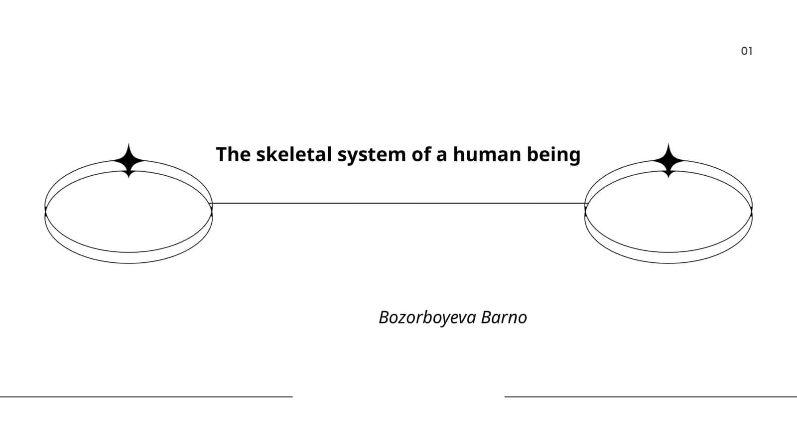 The skeletal system of a human being