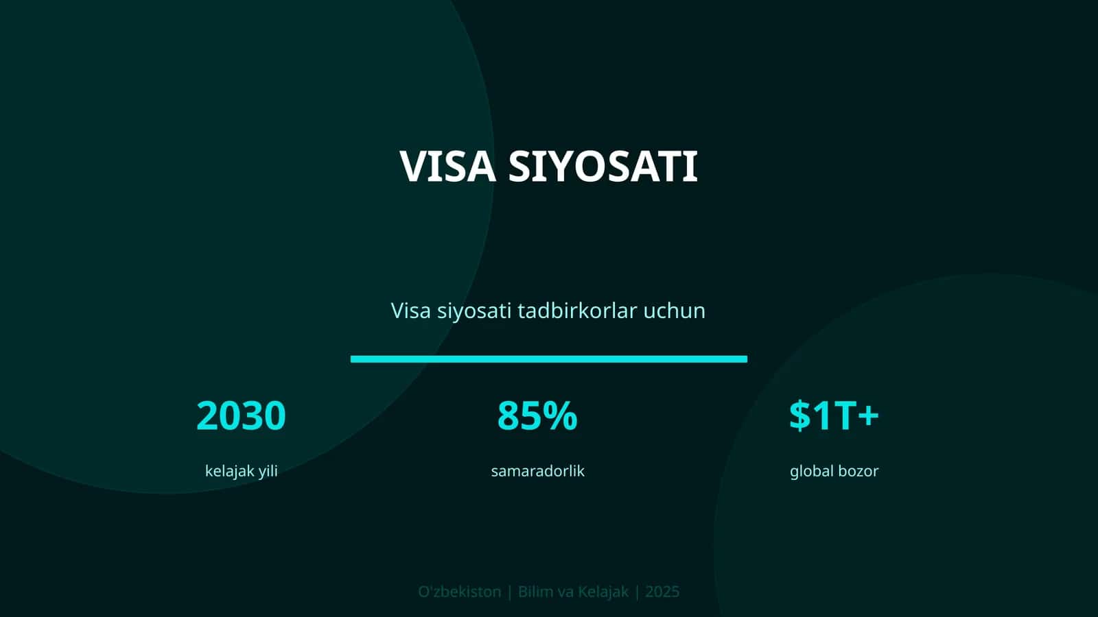 Visa siyosati