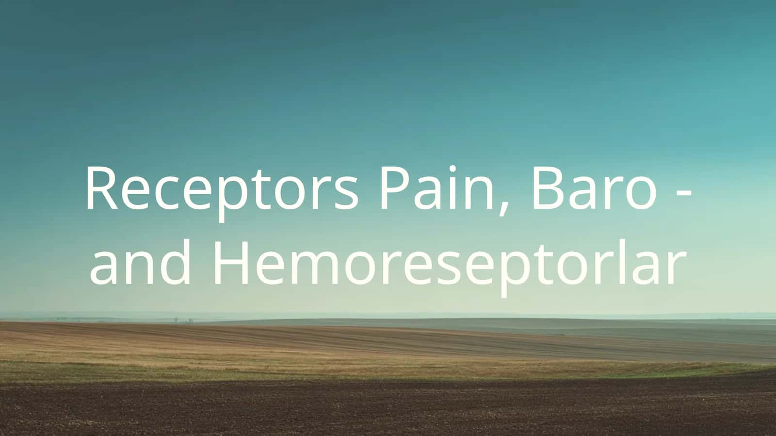 ReceptorsPain, Baro - and Hemoreseptorlar