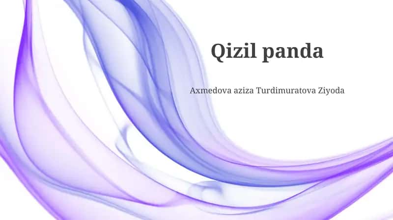 Qizil panda