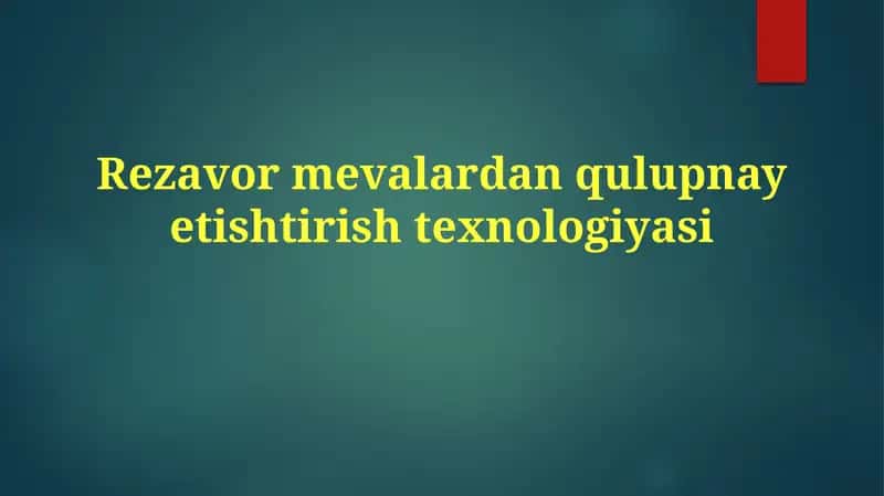 Rezavormevalardanqulupnayеtishtirishtexnologiyasi