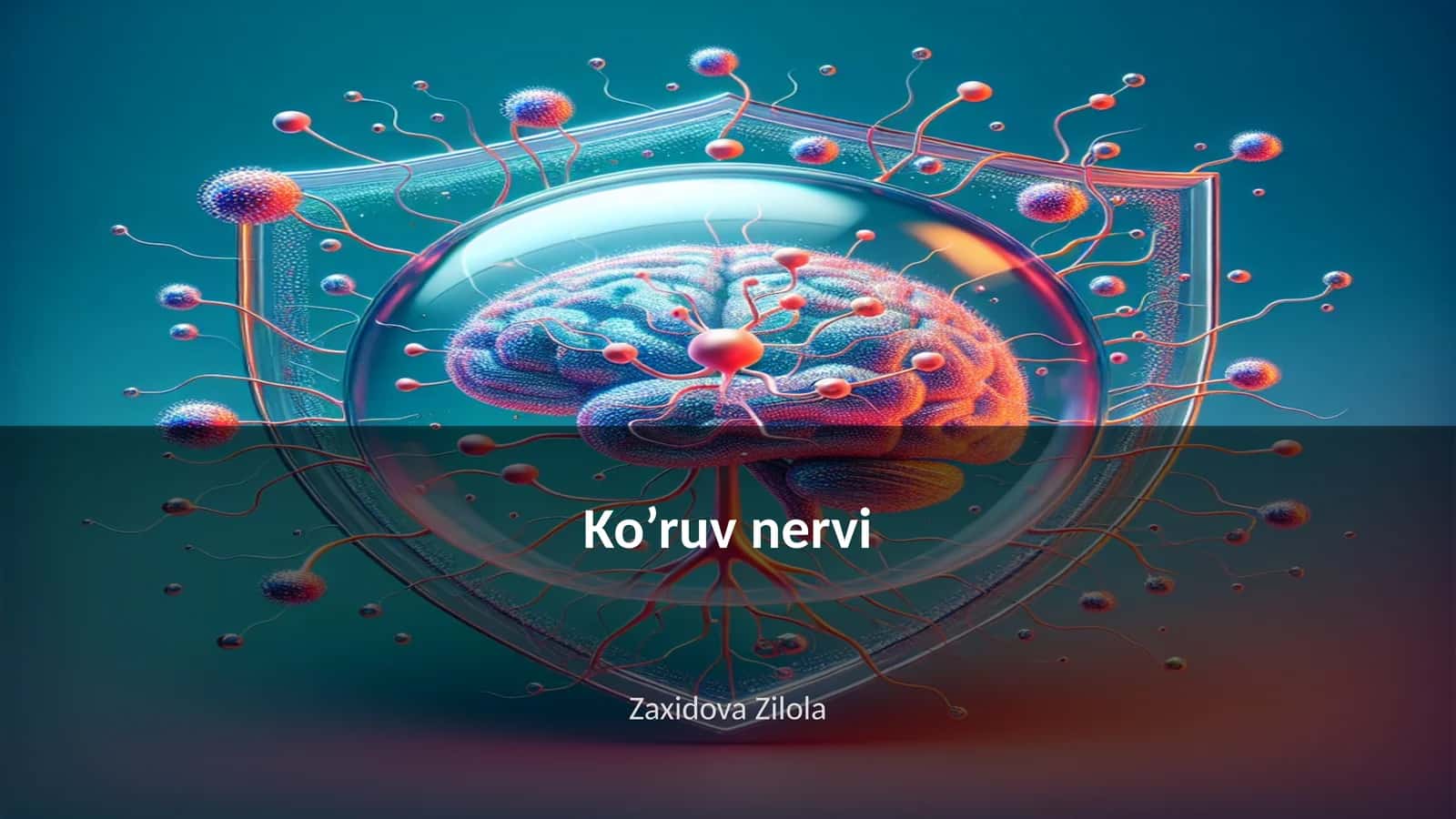 Ko’ruv nervi