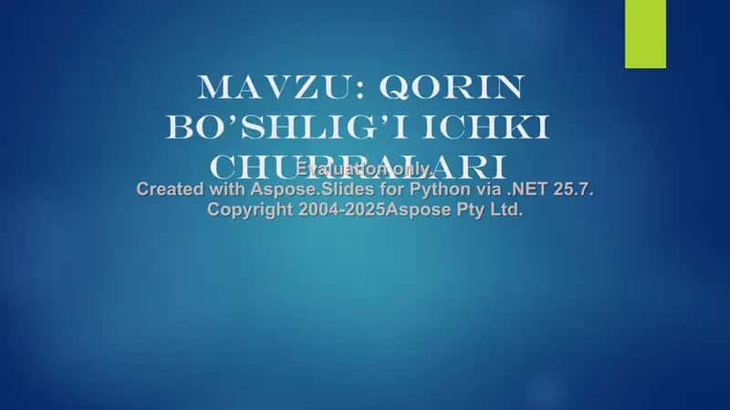 Qorin bo’shlig’I ichki churralari