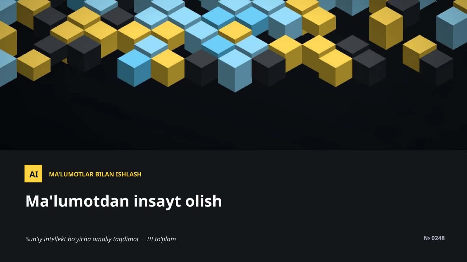 Sun'iy intellekt bo'yicha amaliy taqdimot · III to'plam