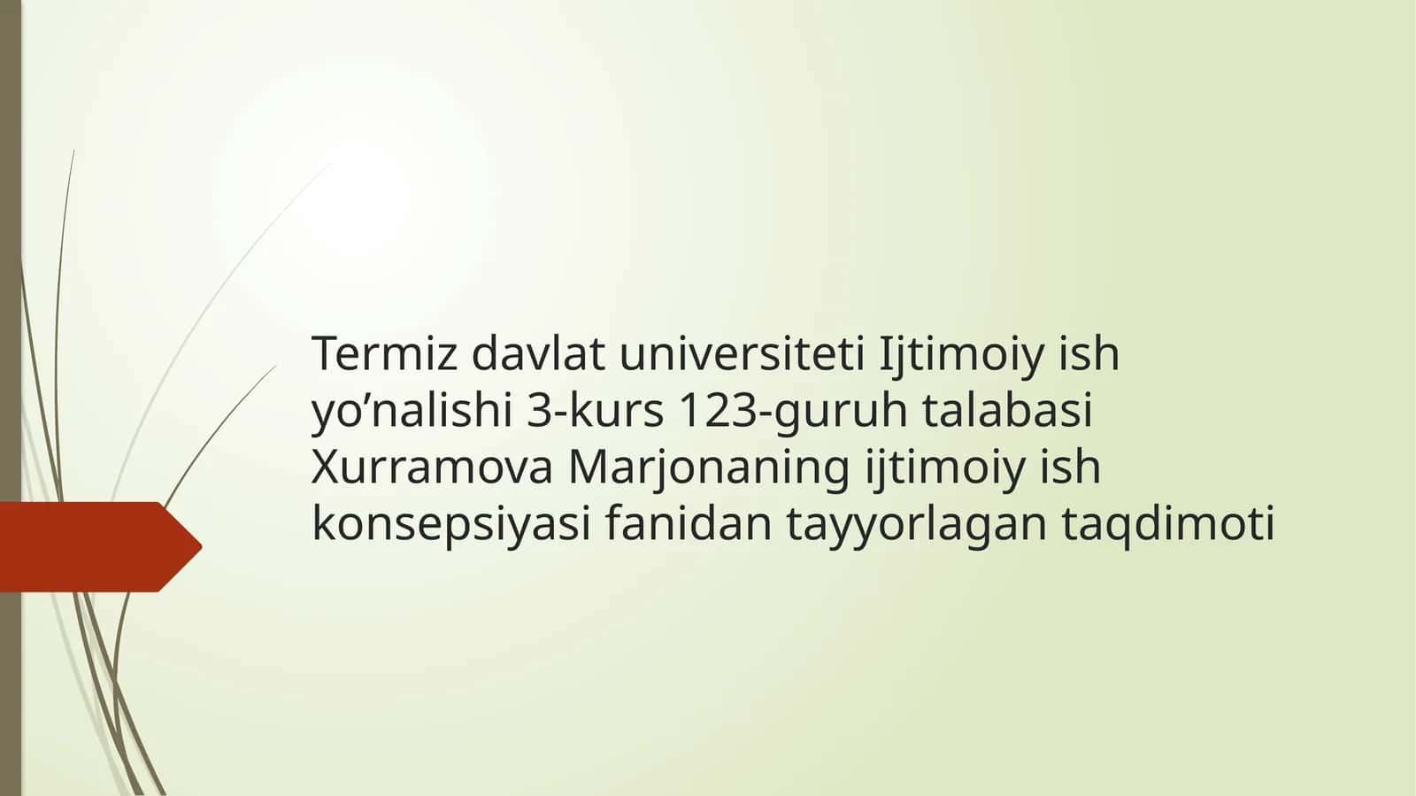 Xurramova Marjonaning ijtimoiy ish konsepsiyasi fanidan tayyorlagan taqdimoti