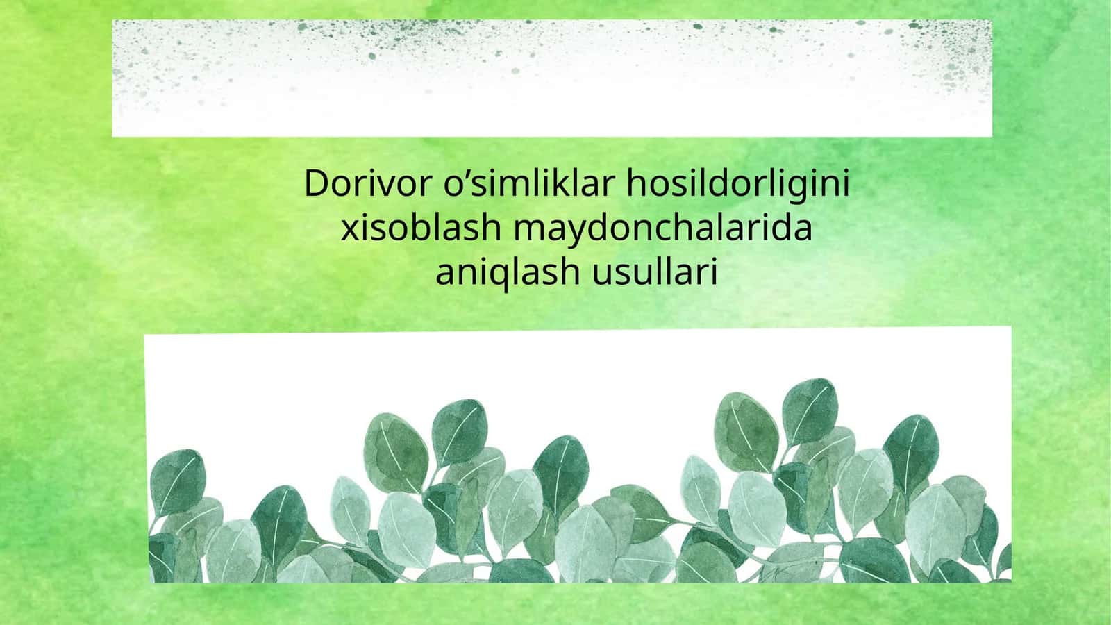 Dorivor o’simliklar hosildorligini xisoblash maydonchalarida aniqlash usullari