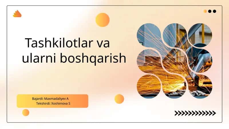 Prezentatsiya:Tashkilotlarva ularni boshqarish