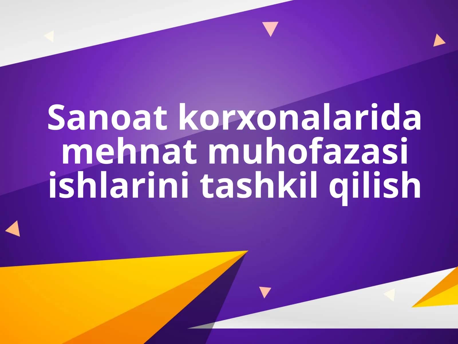 Mehmat muhofazasi: Sanoat korxonalarida mehnat muhofazasi ishlarini tashkil qilish