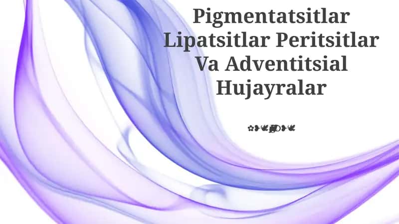 Pigmentatsitlar Lipatsitlar Peritsitlar Va Adventitsial Hujayralar