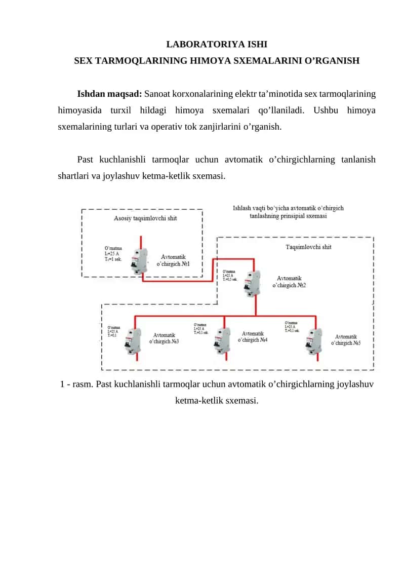 SEX TARMOQLARINING HIMOYA SXEMALARINI OʼRGANISH