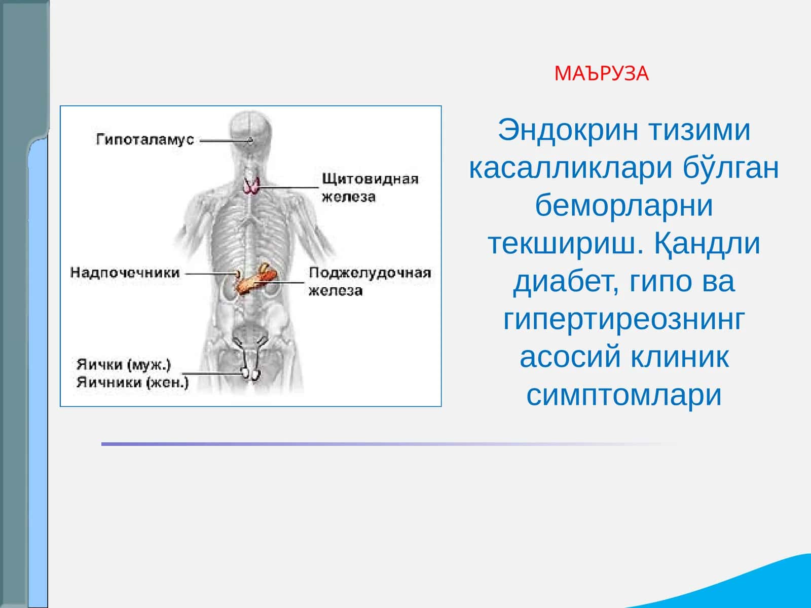 Эндокрин тизими касалликлари бўлган беморларни текшириш. Қандли диабет, гипо ва гипертиреознинг асосий клиник симптомлари