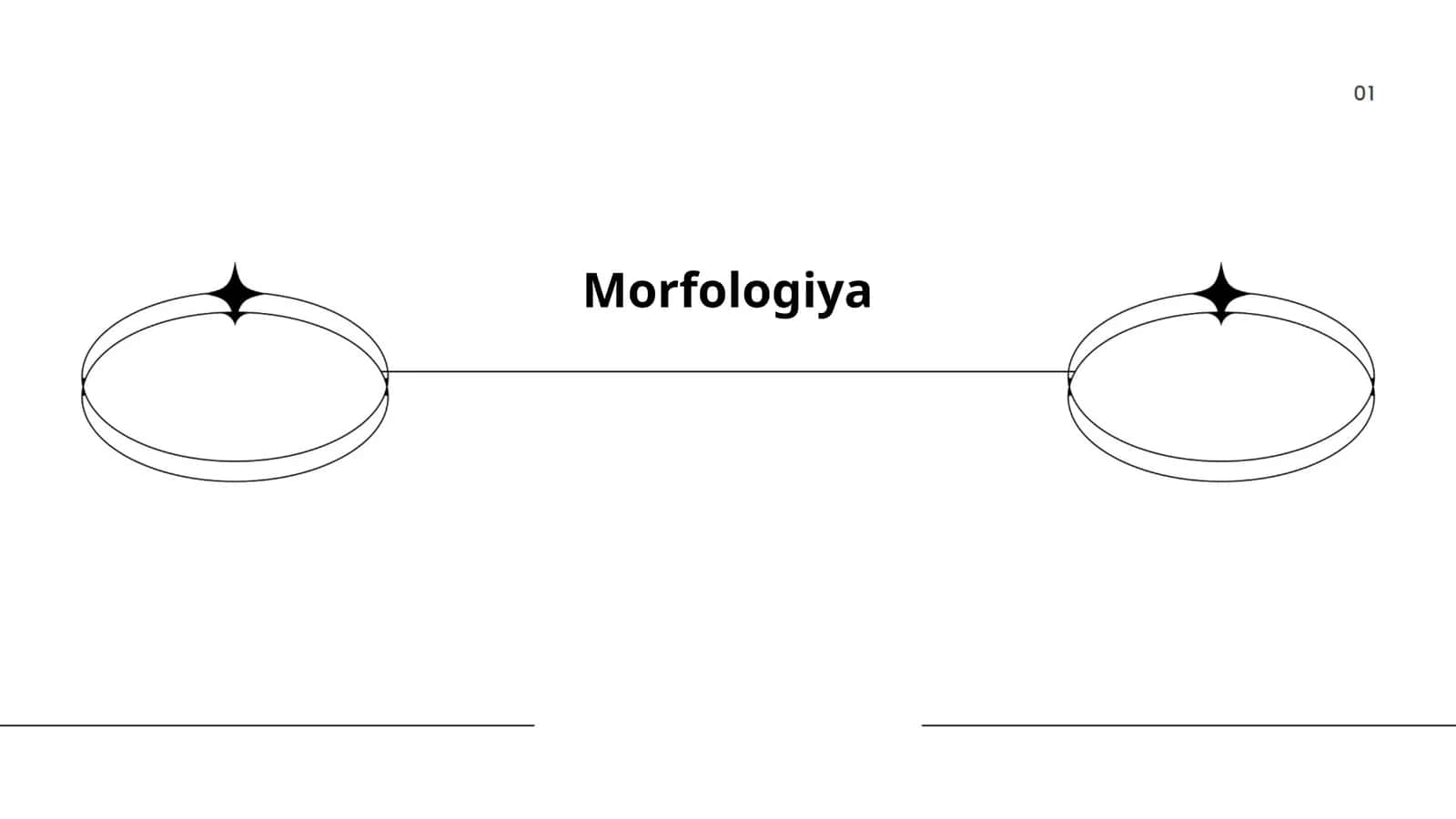 Morfologiya