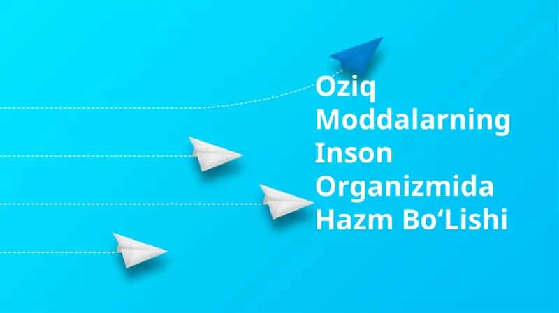 Oziq Moddalarning Inson Organizmida Hazm Bo‘Lishi