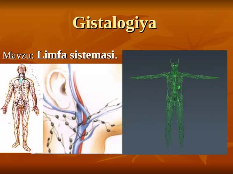 Gistalogiya
