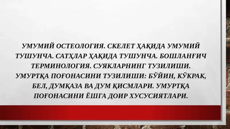 Умумий остеология
