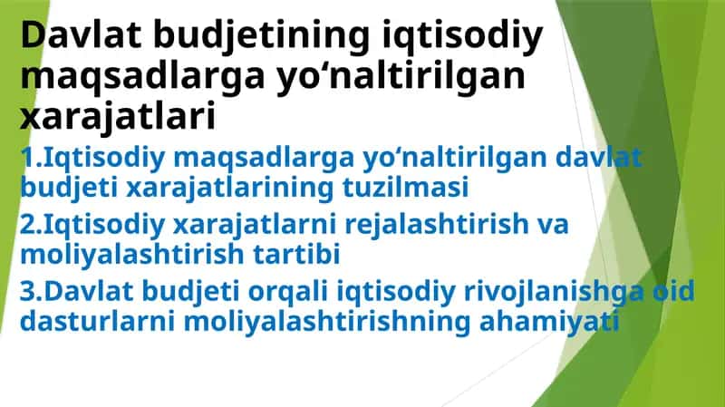 Davlat budjetining iqtisodiy maqsadlari gayo‘naltirilgan xarajatlari
