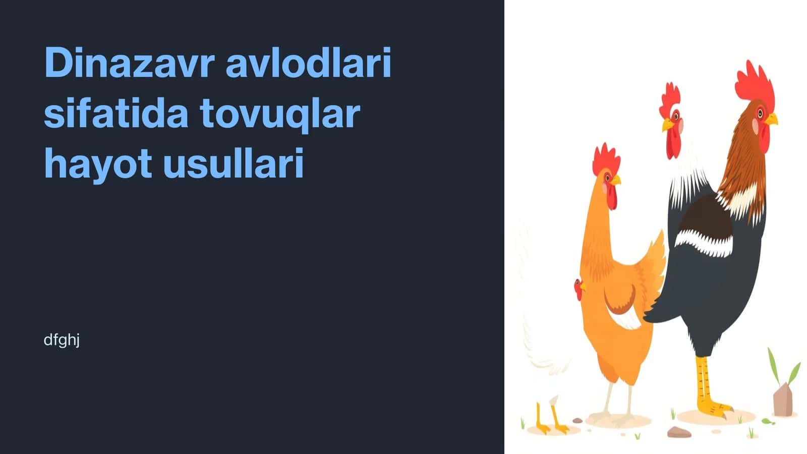 Dinazavr avlodlari sifatida tovuqlar hayot usullari
