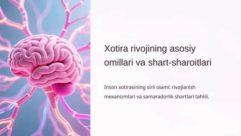 Xotira rivojining asosiy omillari va shart-sharoitlari