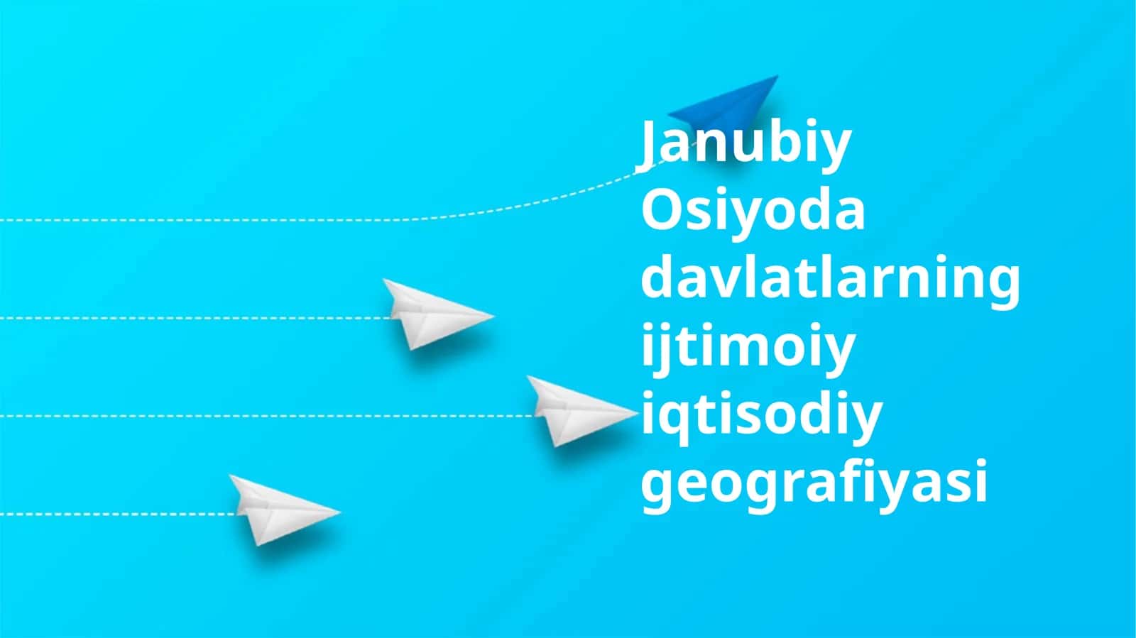 Janubiy Osiyoda davlatlarning ijtimoiy iqtisodiy geografiyasi