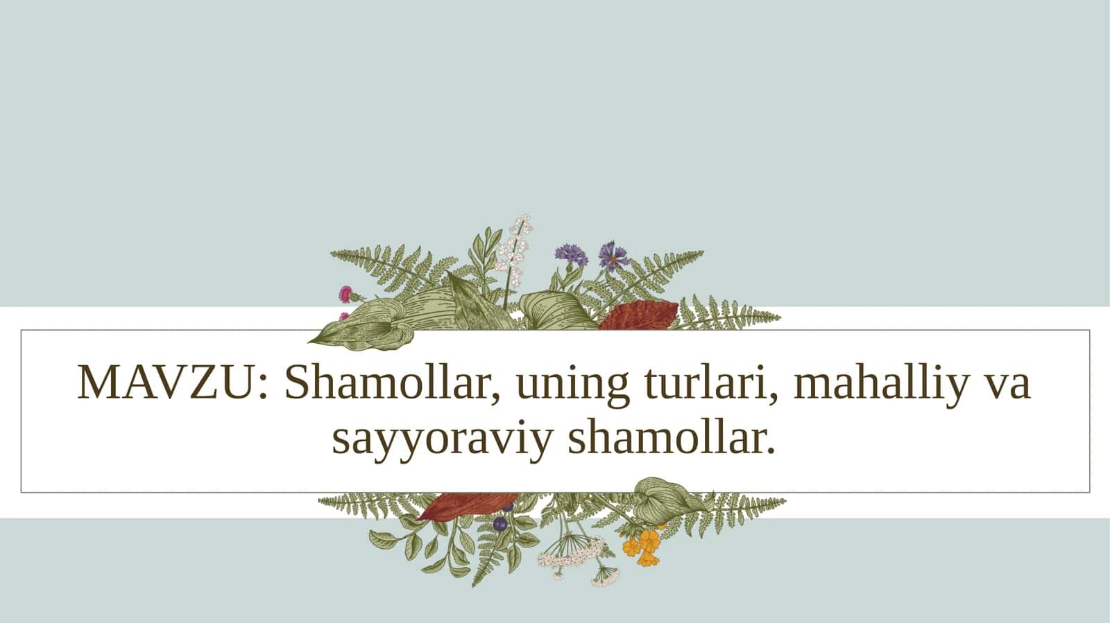 Shamollar, uning turlari, mahalliy va sayyoraviy shamollar