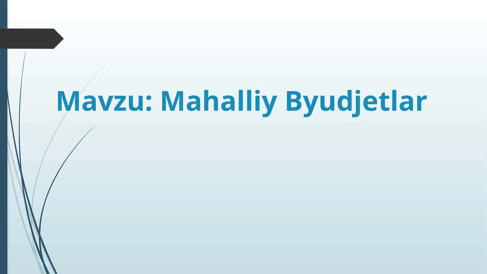 Mahalliy Byudjetlar