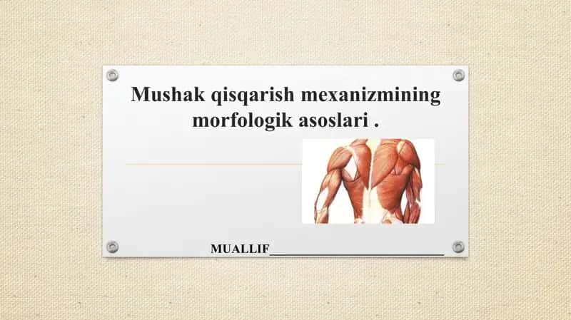 Mushak qisqarish mexanizmi
