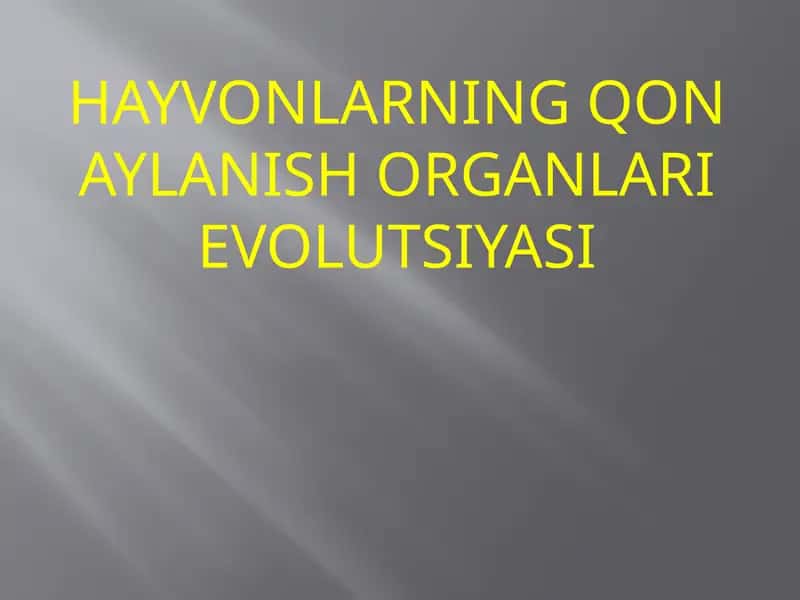 HAYVONLARNING QON AYLANISH ORGANLARIEVOLUTSIYASI